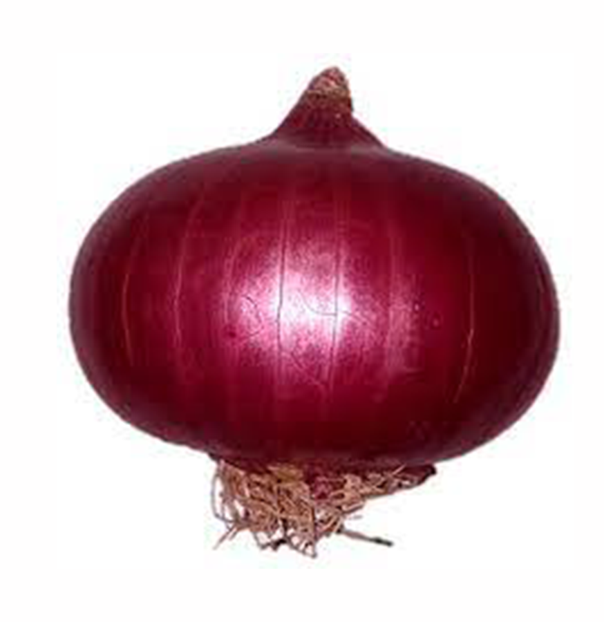 Onion